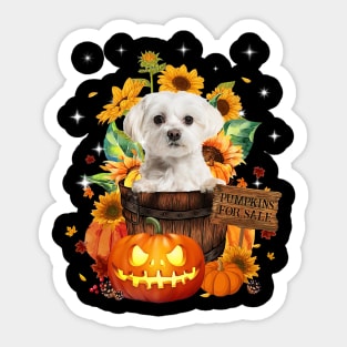 White Maltese Halloween Pumpkin Fall Bucket Sticker